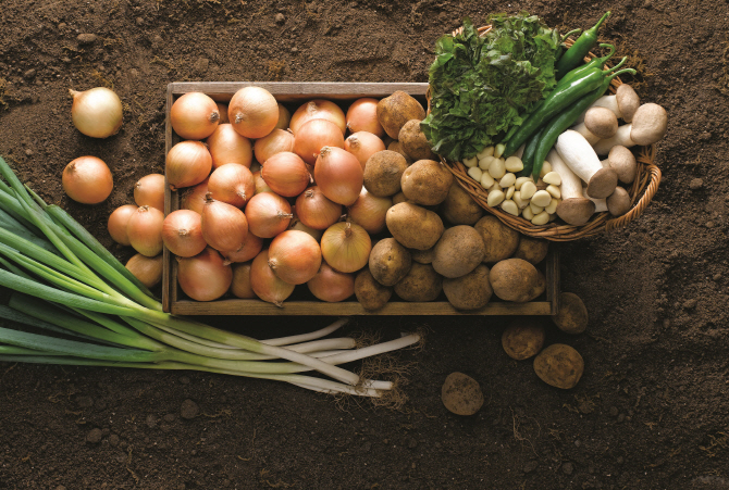 '밥상 물가를 잡아라!'...이마트, 채소 가격 최대 40% 할인
