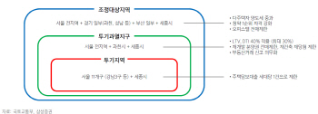 고강도 부동산대책…“주택시장 위축, 단기 건설업 영향은 제한적”