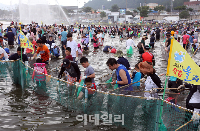 [포토]2017 정남진장흥물축제, '물고기를 잡아라'