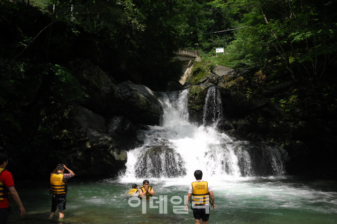  여름휴가 국내로 간다면 이 앱은 필수