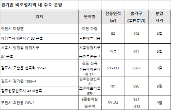 ①초강력 규제 비껴간 무풍지대에 쏠린 눈