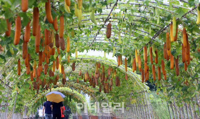 [포토]'시나브로 다가오는 가을'