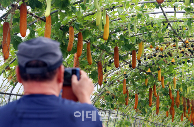 [포토]'가을을 미리 담아요'