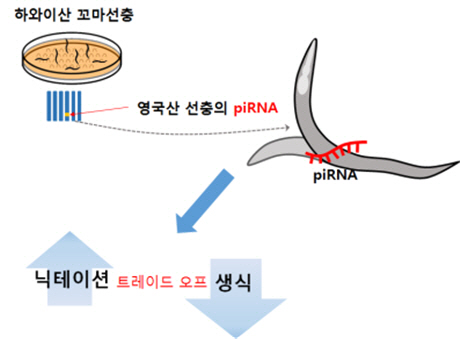 서울대 연구진, 선충이 달팽이에 달라붙어 ‘집’ 옮기는 ‘히치하이킹’ 원리 밝혀내