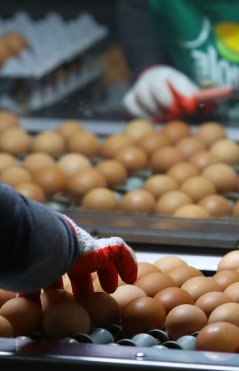 '살충제 계란' 파동에 채식 관련 책 판매 증가