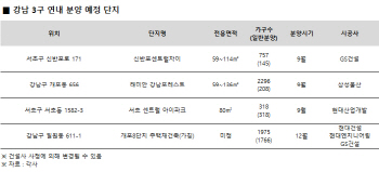 주택시장 침체 우려 속 강남 연내 3000여가구 분양