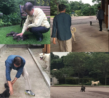 文대통령, `가장 편안한 시간` 공개..토리·마루 데리고 산책