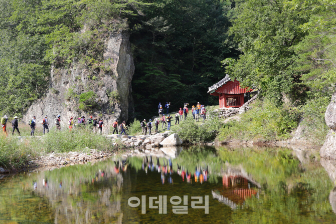 대한민국 10대 명품숲 지역경제 활성화 거점으로 육성