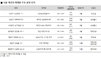 겹겹규제 속… 연내 서울 재건축·재개발 1만2000가구 분양