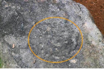 청주서 발견된 '윷판 바위', 2000년 전 유물?