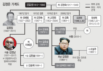 "김정은 친형 김정철, '개인 악단' 활동..정신 불안"