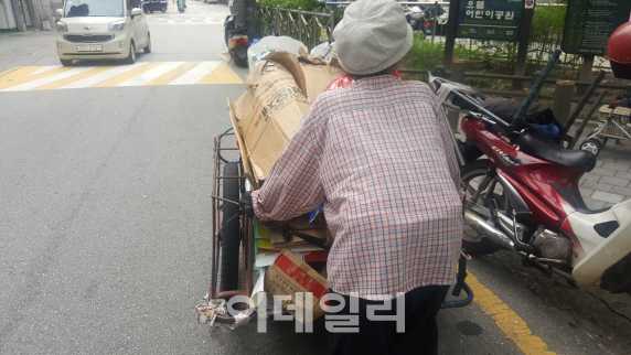 폐지 줍는 노인 175만명…쓰레기 뒤져 한달에 10만원 벌이