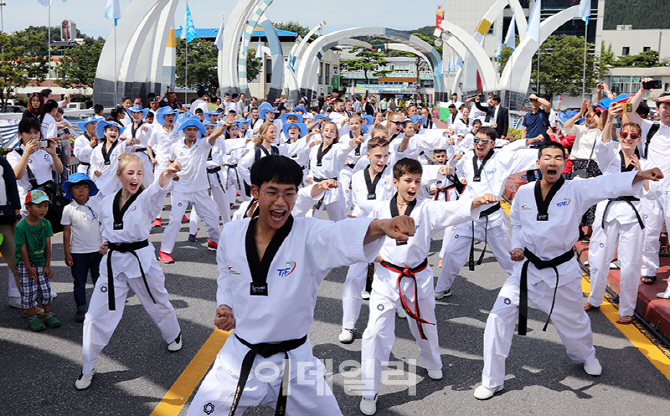 [포토] 무주반딧불축제장에서 펼쳐진 10개국 태권도시범단 플래시몹