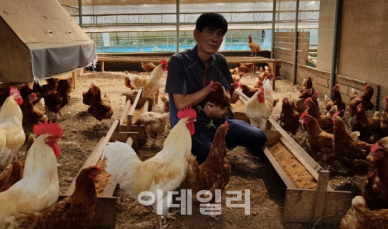 [강신우의 닥치Go]'흙 목욕'하는 닭…친환경 농장 가보니