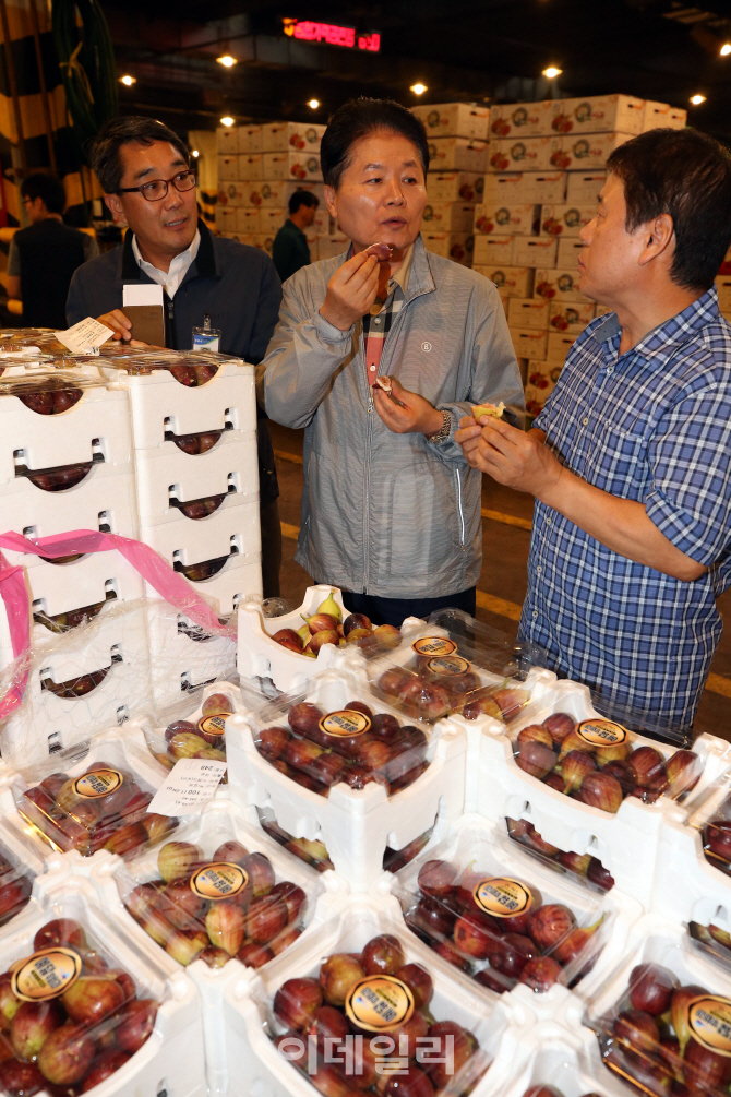 [포토]'과일 맛 좋네요'