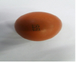 살충제 계란 추가 발견..난각코드 15058·14제일