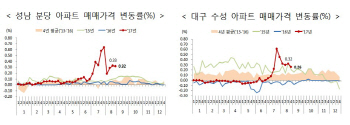 분당·대구 수성구, LTV·DTI 40% 적용.. 분양권 전매제한