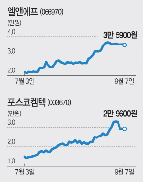 쉼없이 달린 2차전지株, 한템포 쉬어갈까