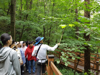 산림복지진흥원, 산림복지 취약계층 위한 특별캠프 진행