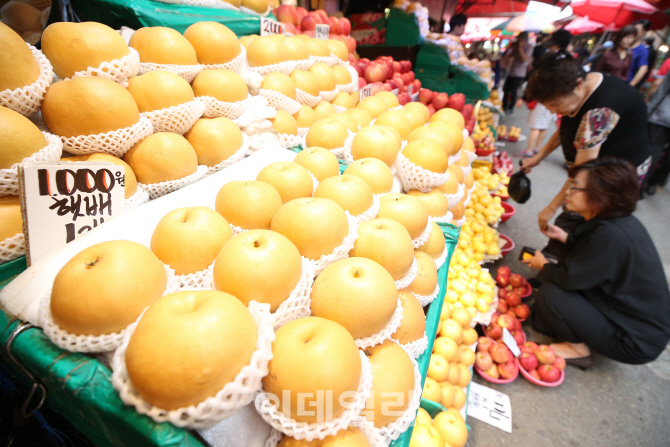 [포토]'과일이 신선해요'