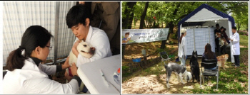 “반려견 질병 여부 무료로 검사받으세요”