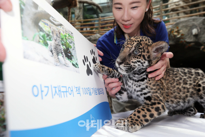 [포토]100일 맞이 발도장 '콕'