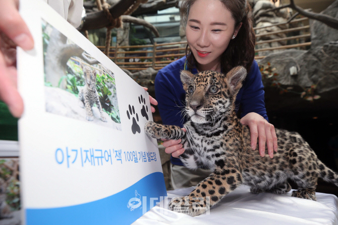 [포토]백일맞이 발도장 '콩'