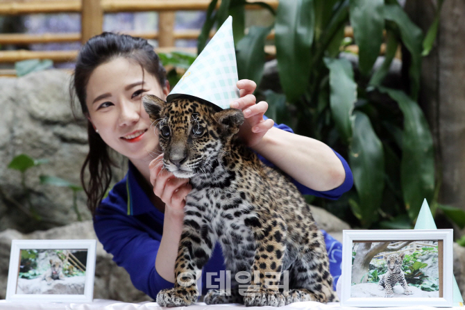 [포토]'한화 아쿠아플라넷 일산의 귀염둥이'