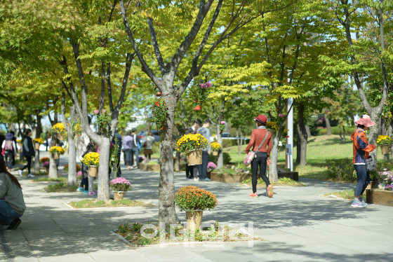 성남시청 공원서 23일 정원축제 개최