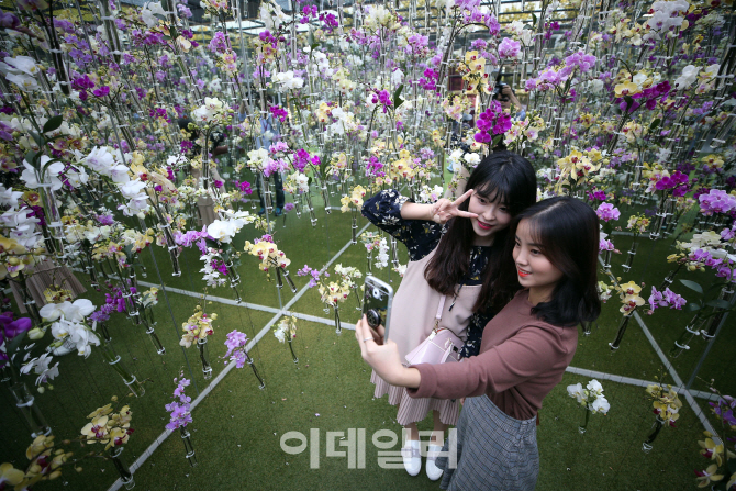 [포토]'꽃보다 청춘'