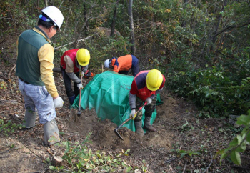 소나무재선충병 감염木에 대한 훈증방제 관리 철저해진다