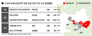 '준강남' 과천-성남 부동산 규제 묶이니…'부·안·의' 라인 뜬다