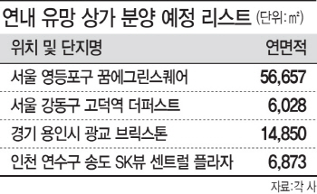 ‘규제 무풍’ 상가로 몰리는 50억 이상 큰 손들