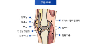 귀향·귀경길 장시간 이동에 고달픈 관절, 똑똑한 예방법은?