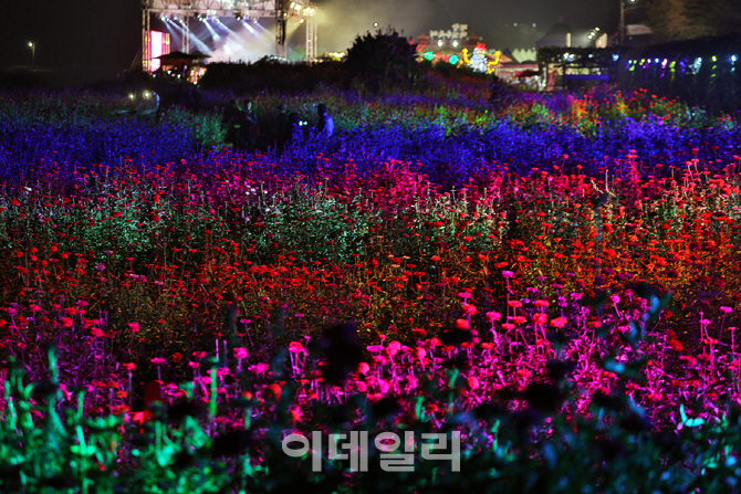 [포토] 화려함의 극치 백일홍축제 야경