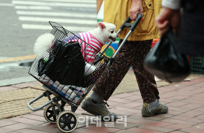 [포토]'저도 시장왔어요'