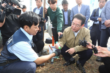 붉은 불개미 추가 발견 無…9일 부산항 정밀검사