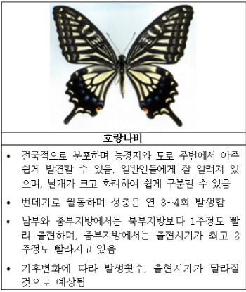 호랑나비로 기후변화 추적한다