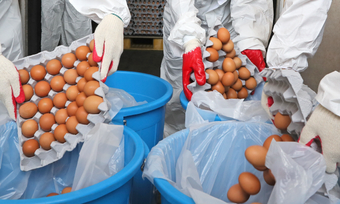"계란 살충제 사태, 정부와 살충제 제조사 책임 커"