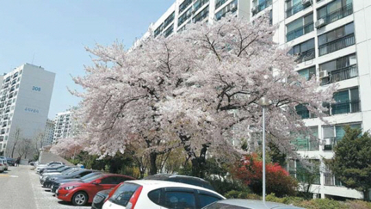 사전 매표기회로 변질된 재건축 부재자 투표… 한신4지구는 다를까