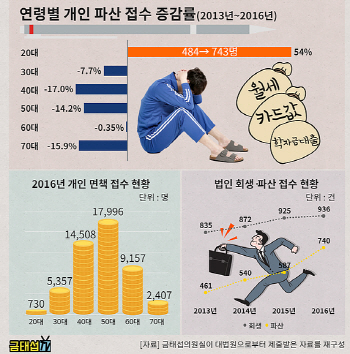 개인 파산신청, 20대만 유독 증가