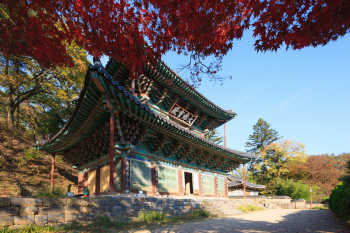 한일 양국 1000명, 가을 단풍속 백제를 만끽한다