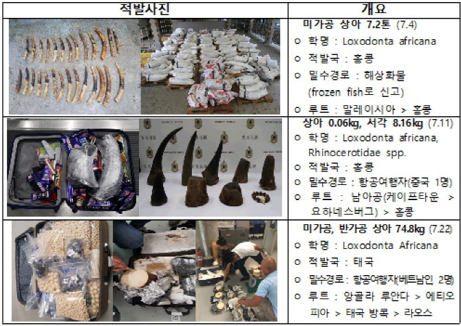 관세청, 국제합동단속으로 멸종위기종 밀거래 23t 적발