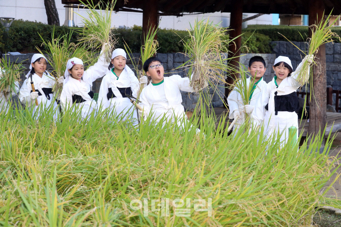 [포토]'가을걷이 체험행사 신나요'