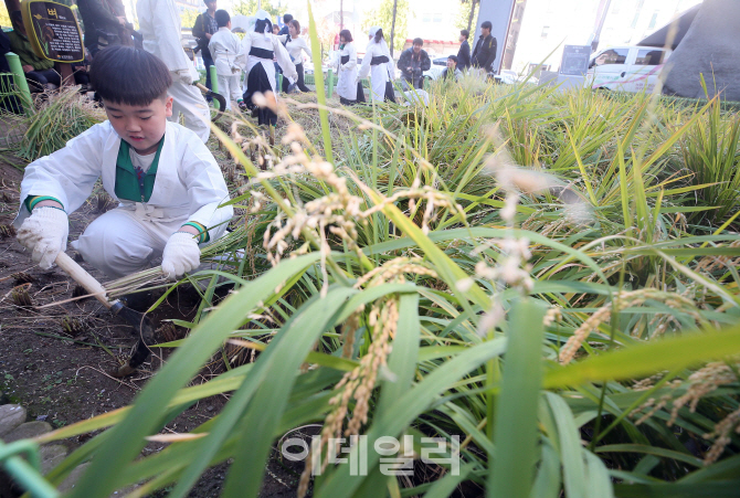 [포토]'수확의 기쁨'