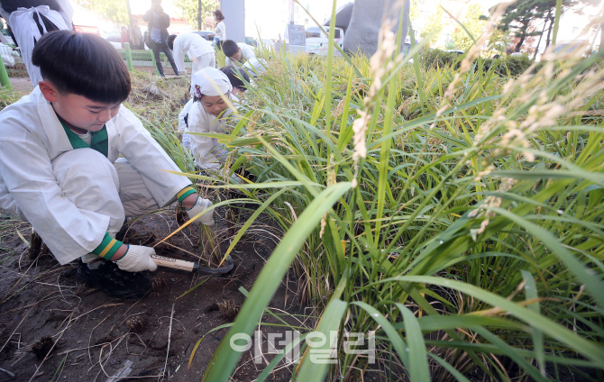 [포토]'농업과 농촌의 중요성 깨달아요'
