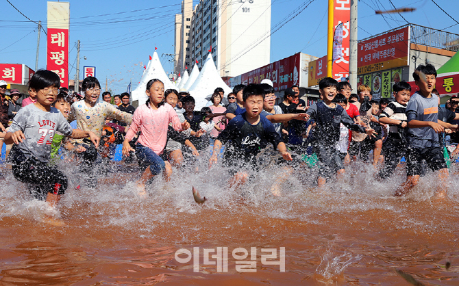 [포토]왕새우잡기