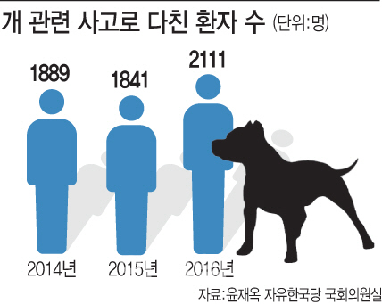 면역력 약한 사람, 개 등 동물에 물이면 위험 '현명한 대처법은?"