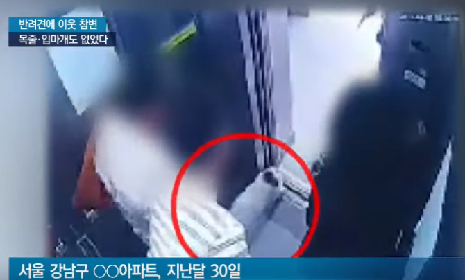 ‘목줄 안했다’며 최시원 측에 과태료 5만원 부과한 강남구청