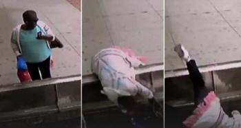 스마트폰 보며 걷다가 `쿵`…심각한 `스몸비` 문제, 대책은